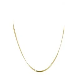 Oliver Bonas Zale Skinny Gold Plated Snake Chain Necklace -Oliver Bonas Shop unnamed file 1342