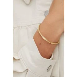 Oliver Bonas Gold Plated Bangle -Oliver Bonas Shop unnamed file 2066