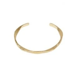 Oliver Bonas Gold Plated Bangle -Oliver Bonas Shop unnamed file 2067