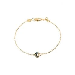 Oliver Bonas Grey Lottie Curved Abalone Shell Inlay Disc Gold Plated Chain Bracelet -Oliver Bonas Shop unnamed file 2201