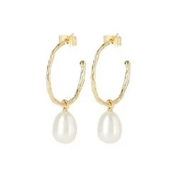 Oliver Bonas Maya Stone Charm Drop Gold Plated Hoop Earrings -Oliver Bonas Shop unnamed file 229