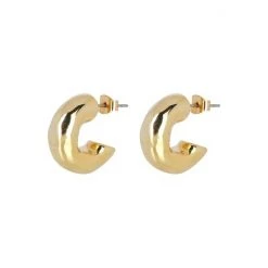 Oliver Bonas Gold Cari Chunky Mini Hoop Earrings -Oliver Bonas Shop unnamed file 260
