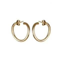 Oliver Bonas Megumi Circle Loop Gold Plated Brass Hoop Earrings -Oliver Bonas Shop unnamed file 491