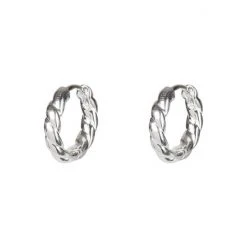 Oliver Bonas Silver Tone Cisco Twisted Huggie Earrings -Oliver Bonas Shop unnamed file 576