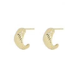 Oliver Bonas Kona Ribbed Texture Statement Gold Plated Hoop Earrings -Oliver Bonas Shop unnamed file 621