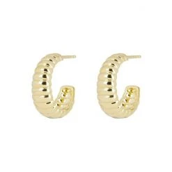 Oliver Bonas Lucia Twist Curve Engraved Gold Plated Hoop Earrings -Oliver Bonas Shop unnamed file 664