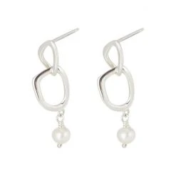 Oliver Bonas Silver Caspian Linked Shape Silver Tone Drop Earrings -Oliver Bonas Shop unnamed file 818