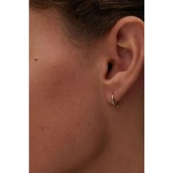 Oliver Bonas Silver Tone Juniper Mini Huggie Earrings -Oliver Bonas Shop unnamed file 885