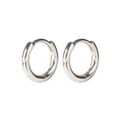 Oliver Bonas Silver Tone Juniper Mini Huggie Earrings -Oliver Bonas Shop unnamed file 886