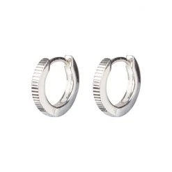 Oliver Bonas Silver Tone Omaira Half Engraved Round Hoop Earrings -Oliver Bonas Shop unnamed file 892